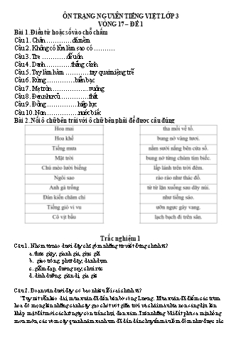 Đề ôn thi Trạng Nguyên Tiếng Việt Lớp 3 - Vòng 17