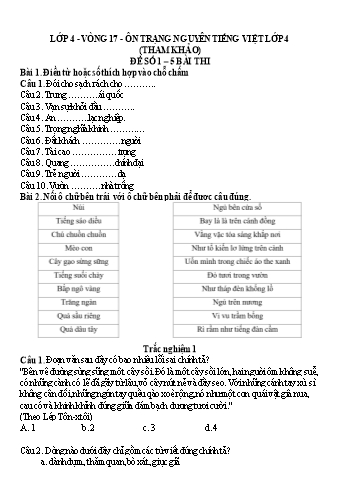 Đề ôn thi Trạng Nguyên Tiếng Việt Lớp 4 - Vòng 17