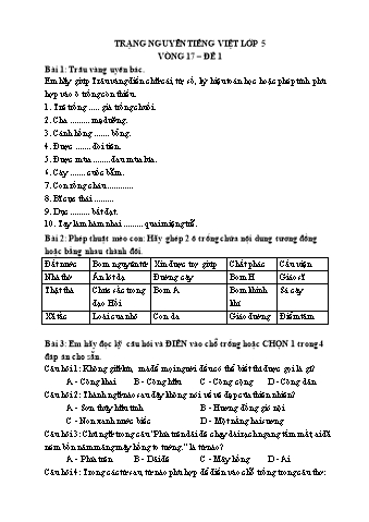 Đề ôn thi Trạng Nguyên Tiếng Việt Lớp 5 - Vòng 17