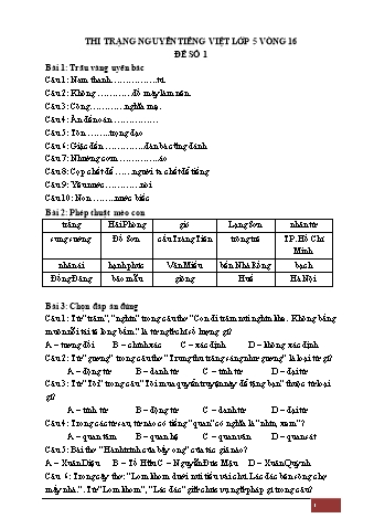 Đề thi Trạng Nguyên Tiếng Việt Lớp 5 - Vòng 16