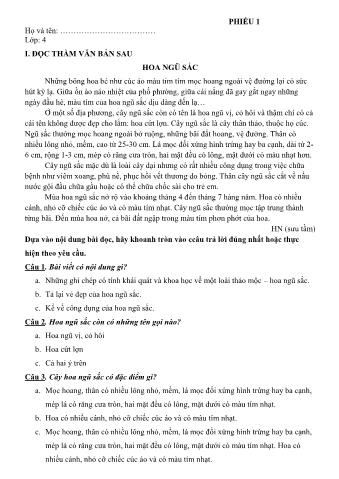 5 Phiếu ôn giữa kì 2 môn Tiếng Việt Lớp 4