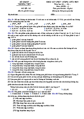 Đề khảo sát chất lượng giữa học kì 2 Sinh học Lớp 12 Mã đề: 101 (Có đáp án)