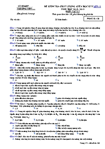 Đề kiểm tra chất lượng giữa học kì 2 Vật lí Lớp 12 - Mã đề: 120 - Năm học 2018-2019