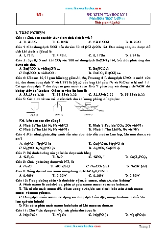 Đề kiểm tra học kỳ I môn Hóa học Lớp 11 (Có đáp án)