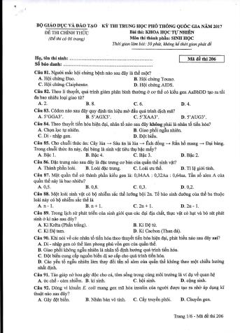 Đề thi chính thức THPT Quốc gia môn Sinh học - Mã đề: 206 - Năm học 2017 (Có đáp án)