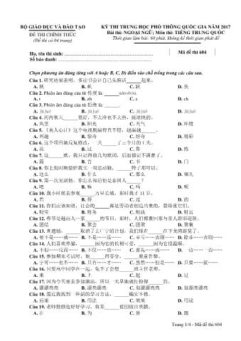 Đề thi chính thức THPT Quốc gia môn Tiếng Trung - Mã đề: 604 - Năm học 2017 (Có đáp án)