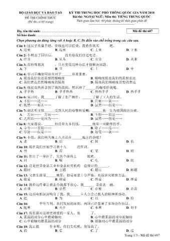 Đề thi chính thức THPT Quốc gia môn Tiếng Trung - Mã đề: 607 - Năm học 2018 (Có đáp án)