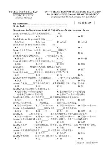 Đề thi chính thức THPT Quốc gia môn Tiếng Trung - Mã đề: 607 - Năm học 2017 (Có đáp án)