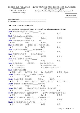 Đề thi chính thức THPT Quốc gia môn Tiếng Trung - Mã đề: 739 - Năm học 2016 (Có đáp án)