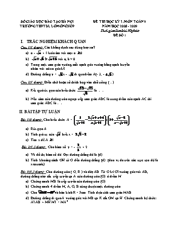 Đề thi học kỳ I môn Toán 9 - Trường THPTDL Lômônôxốp