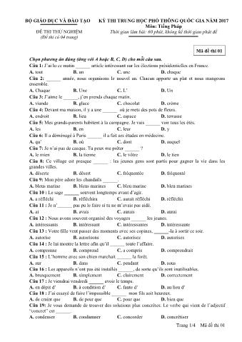 Đề thi thử nghiệm THPT Quốc gia môn Tiếng Pháp - Mã đề: 01 - Năm học 2017