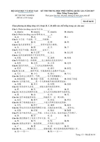 Đề thi thử nghiệm THPT Quốc gia môn Tiếng Trung - Mã đề: 01 - Năm học 2017