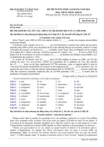 Đề thi tuyển sinh Cao đẳng môn Tiếng Pháp - Khối D - Mã đề: 528 - Năm học 2014 (Có đáp án)