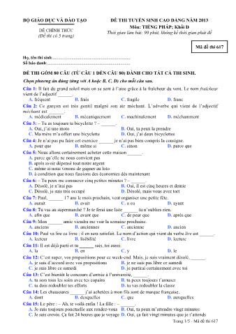 Đề thi tuyển sinh Cao đẳng môn Tiếng Pháp - Khối D - Mã đề: 617 - Năm học 2013 (Có đáp án)