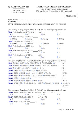 Đề thi tuyển sinh Cao đẳng môn Tiếng Trung - Khối D - Mã đề: 196 - Năm học 2013 (Có đáp án)