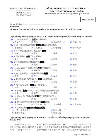 Đề thi tuyển sinh Cao đẳng môn Tiếng Trung - Khối D - Mã đề: 371 - Năm học 2013 (Có đáp án)