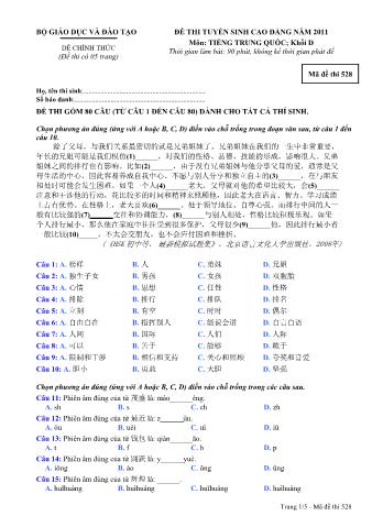 Đề thi tuyển sinh Cao đẳng môn Tiếng Trung - Khối D - Mã đề: 528 - Năm học 2011 (Có đáp án)