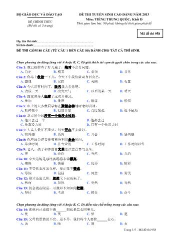 Đề thi tuyển sinh Cao đẳng môn Tiếng Trung - Khối D - Mã đề: 958 - Năm học 2013 (Có đáp án)