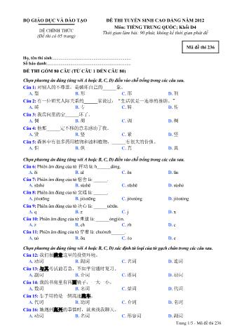 Đề thi tuyển sinh Cao đẳng môn Tiếng Trung - Khối D4 - Mã đề: 236 - Năm học 2012 (Có đáp án)