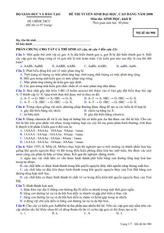 Đề thi tuyển sinh Đại học, Cao đẳng môn Sinh học - Khối B - Mã đề: 980 - Năm học 2008 (Có đáp án)