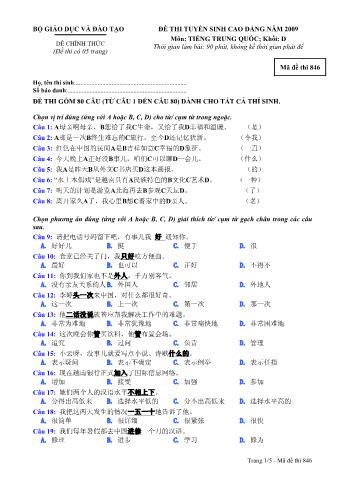 Đề thi tuyển sinh Đại học, Cao đẳng môn Tiếng Trung - Khối D - Mã đề: 846 - Năm học 2009 (Có đáp án)