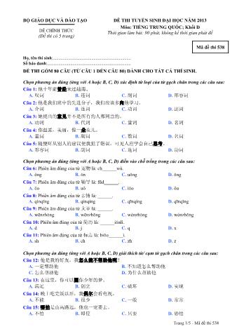 Đề thi tuyển sinh Đại học môn Tiếng Trung - Khối D - Mã đề: 538 - Năm học 2013 (Có đáp án)