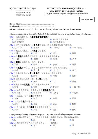 Đề thi tuyển sinh Đại học môn Tiếng Trung - Khối D - Mã đề: 846 - Năm học 2013 (Có đáp án)