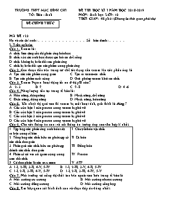 4 Đề thi học kì 1 Sinh học 10 - Năm học 2018-2019 - Trường THPT Mạc Đĩnh Chi (Có đáp án + Ma trận)