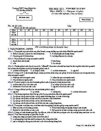 Đề kiểm tra 1 tiết Giáo dục công dân Lớp 11 - Đề 3 - Năm học 2018-2019 - Trường THPT Mạc Đĩnh Chi (Có đáp án + Ma trận)