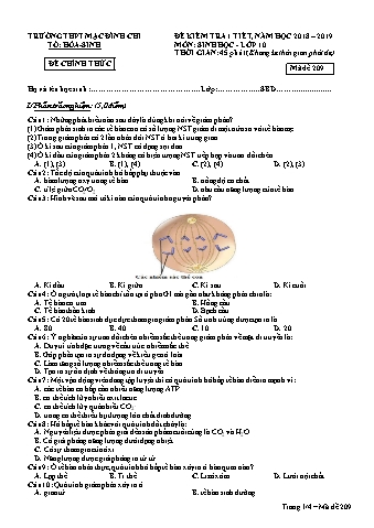 Đề kiểm tra 1 tiết Sinh học 10 - Đề 209 - Năm học 2018-2019 - Trường THPT Mạc Đĩnh Chi (Có đáp án + Ma trận)