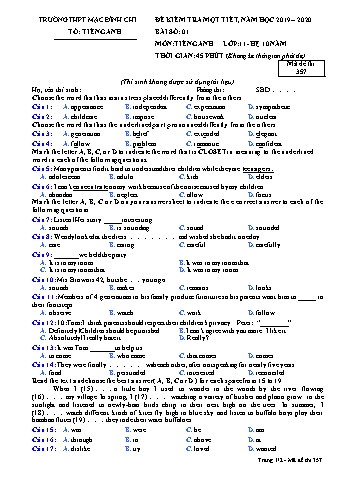Đề kiểm tra 1 tiết Tiếng Anh Lớp 11 (Hệ 10 năm) - Đề 357 - Năm học 2019-2020 - Trường THPT Mạc Đĩnh Chi