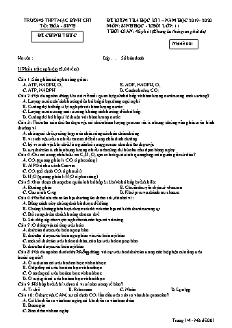 Đề kiểm tra học kì 1 môn Sinh học 11 - Đề 1 - Năm học 2019-2020 - Trường THPT Mạc Đĩnh Chi (Có đáp án + Ma trận)