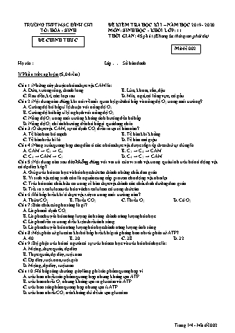 Đề kiểm tra học kì 1 môn Sinh học 11 - Đề 2 - Năm học 2019-2020 - Trường THPT Mạc Đĩnh Chi (Có đáp án + Ma trận)