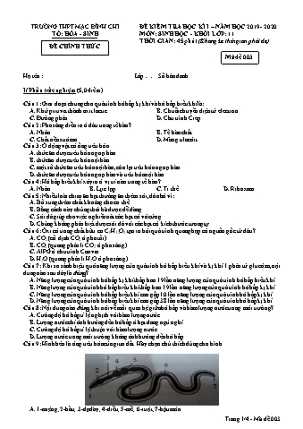 Đề kiểm tra học kì 1 môn Sinh học 11 - Đề 3 - Năm học 2019-2020 - Trường THPT Mạc Đĩnh Chi (Có đáp án + Ma trận)