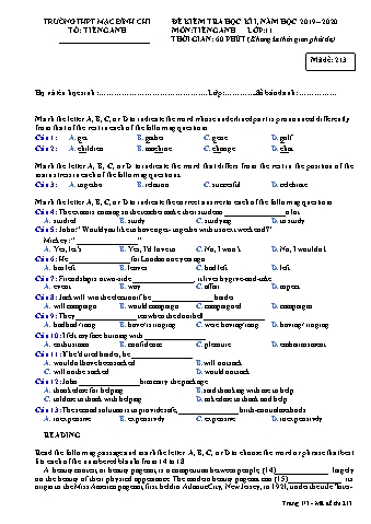 Đề kiểm tra học kì 1 môn Tiếng Anh - Đề 213 - Năm học 2019-2020 - Trường THPT Mạc Đĩnh Chi (Có đáp án + Ma trận)