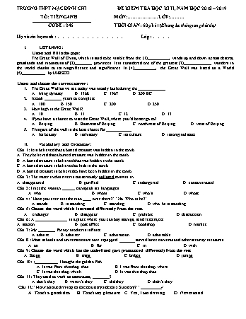 Đề kiểm tra học kì 2 môn Tiếng Anh 11 - Đề 246 - Năm học 2018-2019 - Trường THPT Mạc Đĩnh Chi (Có đáp án + Ma trận)