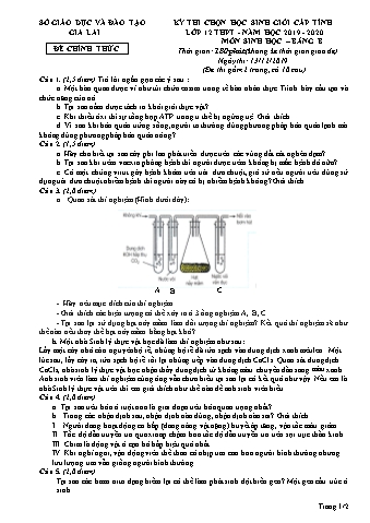 Đề thi chọn học sinh giỏi cấp tỉnh môn Sinh học 12 - Bảng B - Năm học 2019-2020 - SGD&ĐT Gia Lai (Có đáp án)